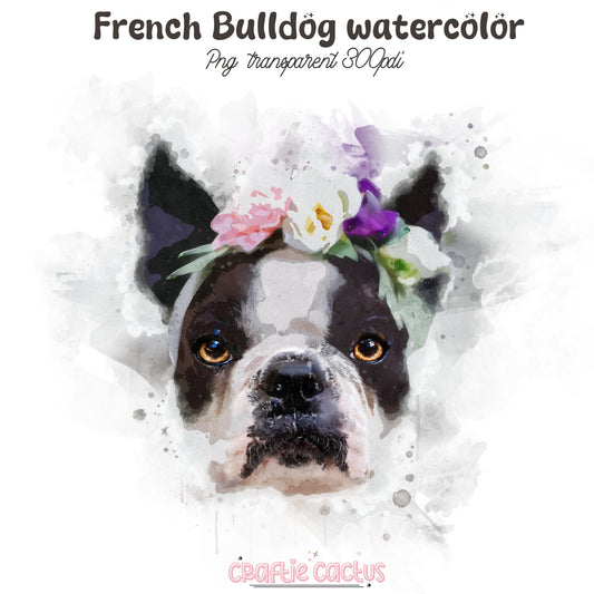 French Bulldog watercolor Clipart High resolution Craftie Cactus