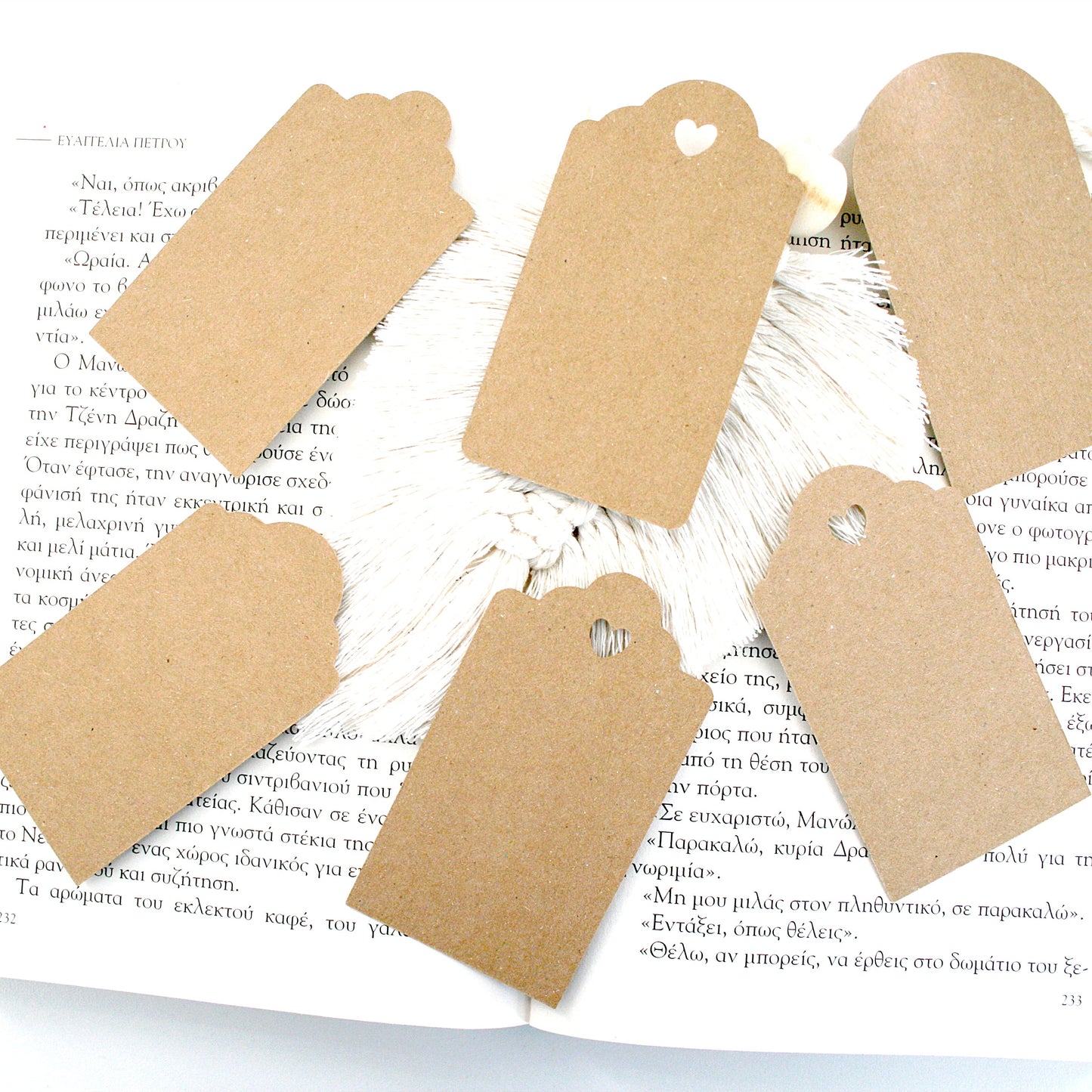 Gift Tag Template - Tags & Label Cut Files n.10 Craftie Cactus